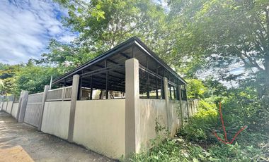 FOR SALE - LOT ONLY 462SQM RESIDENTIAL IN SAN ISIDRO, TAGBILARAN CITY, BOHOL. FEW STEPS AWAY TO MAIN HI-WAY/ROAD. WITH CLEAN TITLE.