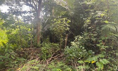 FOR SALE - LOT ONLY 462SQM RESIDENTIAL IN SAN ISIDRO, TAGBILARAN CITY, BOHOL. FEW STEPS AWAY TO MAIN HI-WAY/ROAD. WITH CLEAN TITLE.