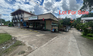 FOR SALE - LOT ONLY 462SQM RESIDENTIAL IN SAN ISIDRO, TAGBILARAN CITY, BOHOL. FEW STEPS AWAY TO MAIN HI-WAY/ROAD. WITH CLEAN TITLE.