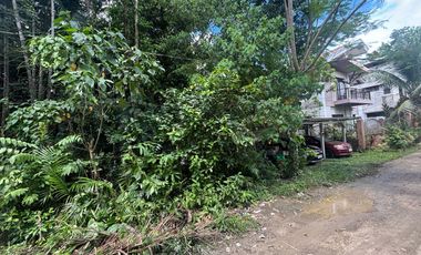 FOR SALE - LOT ONLY 462SQM RESIDENTIAL IN SAN ISIDRO, TAGBILARAN CITY, BOHOL. FEW STEPS AWAY TO MAIN HI-WAY/ROAD. WITH CLEAN TITLE.