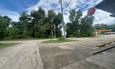 FOR SALE - LOT ONLY 462SQM RESIDENTIAL IN SAN ISIDRO, TAGBILARAN CITY, BOHOL. FEW STEPS AWAY TO MAIN HI-WAY/ROAD. WITH CLEAN TITLE.