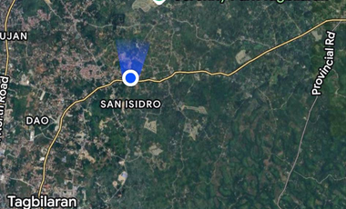 FOR SALE - LOT ONLY 462SQM RESIDENTIAL IN SAN ISIDRO, TAGBILARAN CITY, BOHOL. FEW STEPS AWAY TO MAIN HI-WAY/ROAD. WITH CLEAN TITLE.