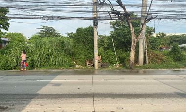 Commercial Lot 1,400 sqm in Hernan Cortes Street