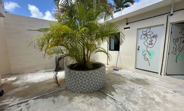 RENTO ESTUDIO NUEVO PARA 1 PERSONA $8,500