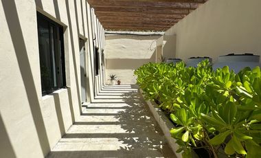 RENTO ESTUDIO NUEVO PARA 1 PERSONA $8,500