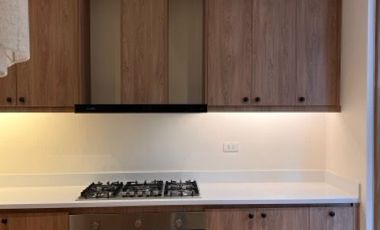 Brand New Modern Homes at President's Heights BF Homes Parañaque City