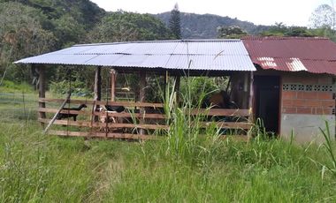 Venta gran Lote, Vereda El Cabuyal, Copacabana Antioquia.