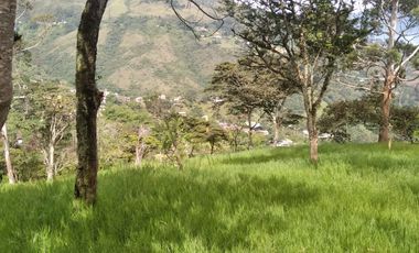 Venta gran Lote, Vereda El Cabuyal, Copacabana Antioquia.