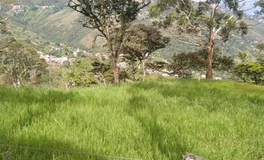 Venta gran Lote, Vereda El Cabuyal, Copacabana Antioquia.