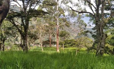 Venta gran Lote, Vereda El Cabuyal, Copacabana Antioquia.
