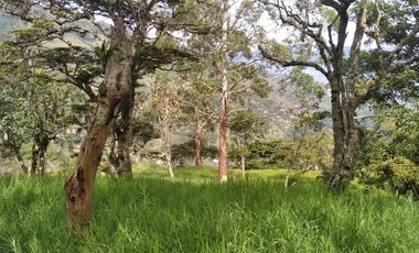 Venta gran Lote, Vereda El Cabuyal, Copacabana Antioquia.