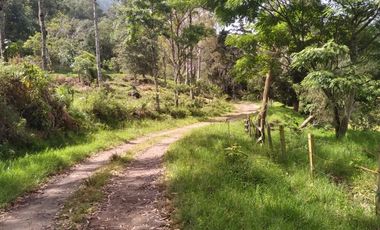Venta gran Lote, Vereda El Cabuyal, Copacabana Antioquia.