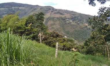 Venta gran Lote, Vereda El Cabuyal, Copacabana Antioquia.