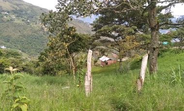 Venta gran Lote, Vereda El Cabuyal, Copacabana Antioquia.