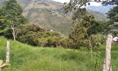 Venta gran Lote, Vereda El Cabuyal, Copacabana Antioquia.