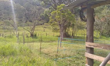 Venta gran Lote, Vereda El Cabuyal, Copacabana Antioquia.