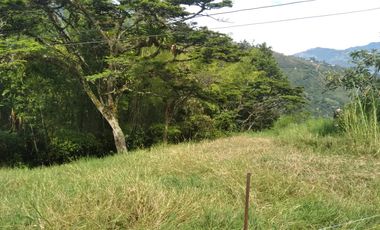 Venta gran Lote, Vereda El Cabuyal, Copacabana Antioquia.
