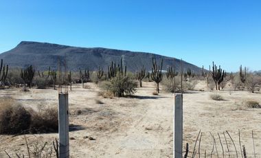 Terreno Frente a Carretera Los Planes