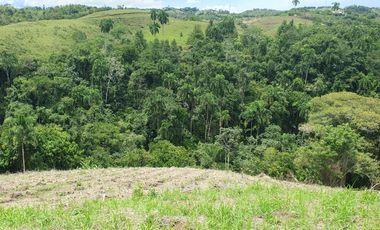 EN VENTA LOS MAS ESPECTACULARES LOTES EN CERRITOS