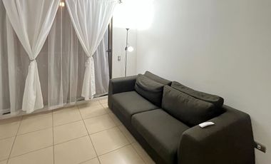 Arriendo departamento amoblado y equipado Parinacota