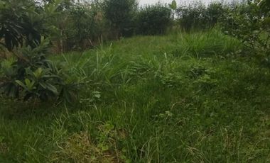 PEDRO.V.MALDONADO VENDO 2 LOTES JUNTOS EN LA URB. MAPIA