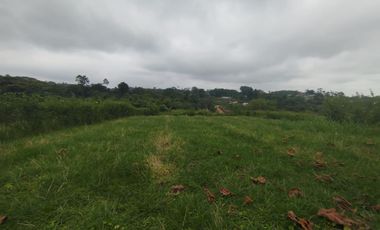 PEDRO.V.MALDONADO VENDO 2 LOTES JUNTOS EN LA URB. MAPIA