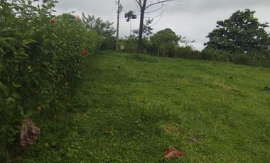 PEDRO.V.MALDONADO VENDO 2 LOTES JUNTOS EN LA URB. MAPIA