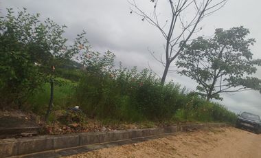 PEDRO.V.MALDONADO VENDO 2 LOTES JUNTOS EN LA URB. MAPIA