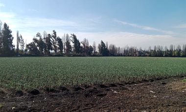 Parcelas de Agrado en Condominio Privado Lo Solar Lampa