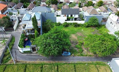 Freehold land sale 400m² Bumbak Umalas Kerobokan