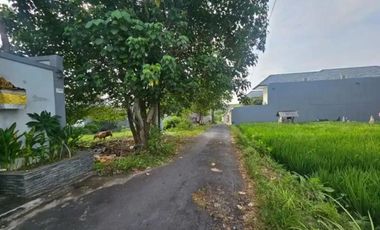 Freehold land sale 400m² Bumbak Umalas Kerobokan