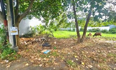 Freehold land sale 400m² Bumbak Umalas Kerobokan