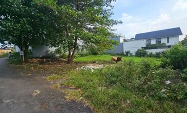 Freehold land sale 400m² Bumbak Umalas Kerobokan