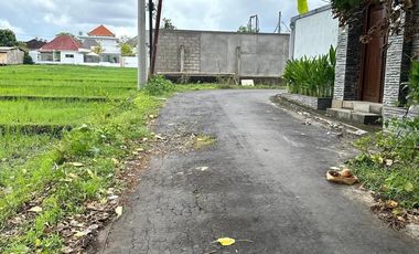 Freehold land sale 400m² Bumbak Umalas Kerobokan