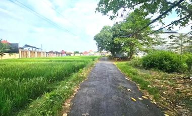 Freehold land sale 400m² Bumbak Umalas Kerobokan