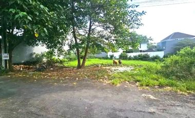 Freehold land sale 400m² Bumbak Umalas Kerobokan