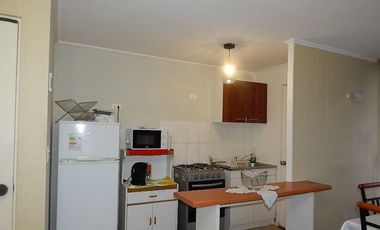 Arriendo departamento amoblado La Paloma 2 Valle volcanes