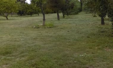 HUERTA CON CASA DE CAMPO CON ARBOLES DE ORNATO Y FRUTALES EN SACRAMENTO