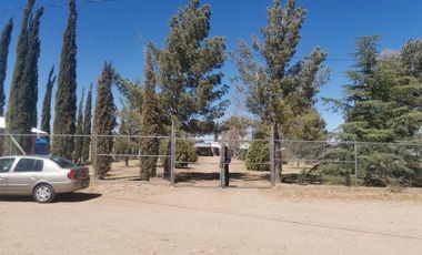 HUERTA CON CASA DE CAMPO CON ARBOLES DE ORNATO Y FRUTALES EN SACRAMENTO