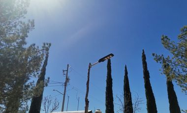 HUERTA CON CASA DE CAMPO CON ARBOLES DE ORNATO Y FRUTALES EN SACRAMENTO