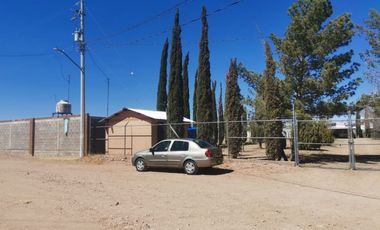HUERTA CON CASA DE CAMPO CON ARBOLES DE ORNATO Y FRUTALES EN SACRAMENTO