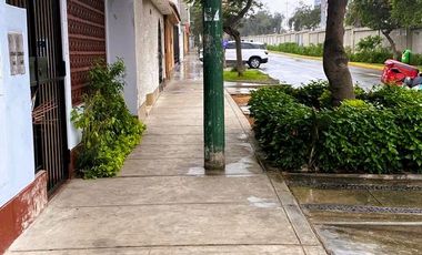 DEPARTAMENTO en ALQUILER en SURCO