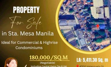 Prime Lot for Sale in Manila ideal for Condominium or Commercial Building