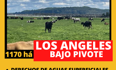 Terreno en venta en Biobío, Los Ángeles