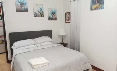 Fully furnish condo for rent 1 Bedroom in downtown Cagayan de oro city parking included