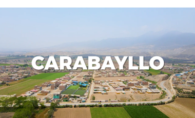 Terreno Plano Amplio En Carabayllo Excelente Oportunidad De Inversión