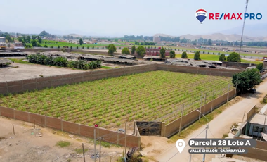 Terreno Plano Amplio En Carabayllo Excelente Oportunidad De Inversión