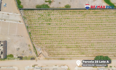 Terreno Plano Amplio En Carabayllo Excelente Oportunidad De Inversión