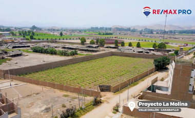 Terreno Plano Amplio En Carabayllo Excelente Oportunidad De Inversión