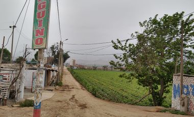 Terreno Plano Amplio En Carabayllo Excelente Oportunidad De Inversión